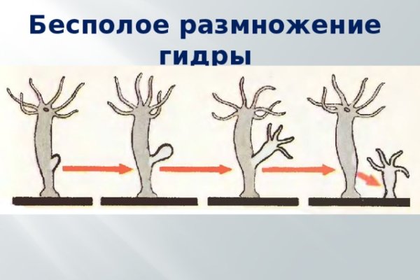 Кракен шоп интернет магазин