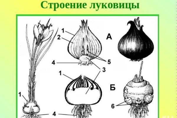 Кракен наркомагазин